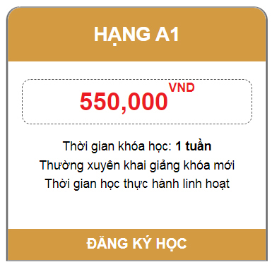 Dao Tao Lai Xe Binh Duong 19