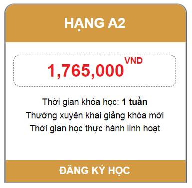 Dao Tao Lai Xe Binh Duong 20