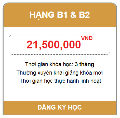 Dao Tao Lai Xe Binh Duong 21