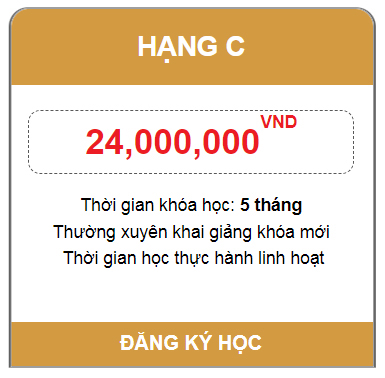 Dao Tao Lai Xe Binh Duong 22