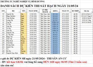 Dao Tao Lai Xe Binh Duong 24