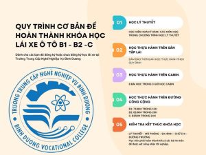 Dao Tao Lai Xe Binh Duong 28